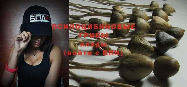 PSILOCYBIN Белокуриха