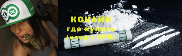 PSILOCYBIN Белокуриха