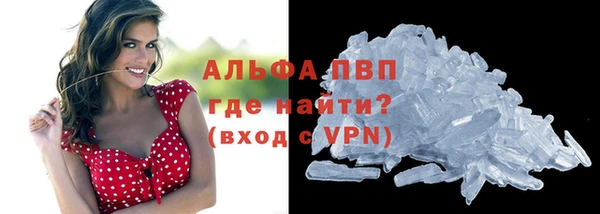 PSILOCYBIN Белоозёрский