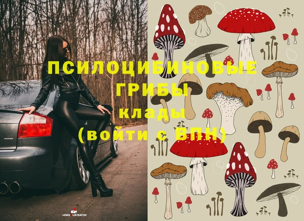стаф Беломорск