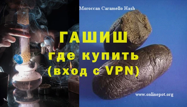 PSILOCYBIN Белокуриха
