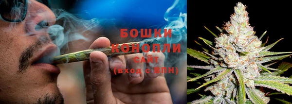 PSILOCYBIN Белокуриха