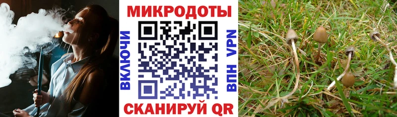гидра сайт  Палласовка  Псилоцибиновые грибы Cubensis  хочу  